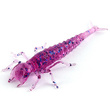 Diving Bug 2