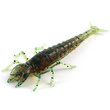 Diving Bug 2