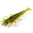 Diving Bug 2