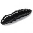 Pupa 1.5