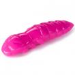 Pupa 1.5