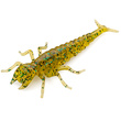 Diving Bug 2" Caramel/Green & Black