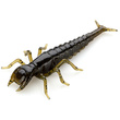 Diving Bug 2" Watermelon Brown/Black