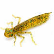 Dragonfly 1.7" Caramel/Green & Black
