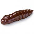 Pupa 1.5" Earthworm