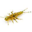 Stonefly 0.75" Caramel/Green & Black