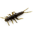 Stonefly 0.75" Watermelon Brown/Black