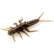 Stonefly 0.75" Green Pumpkin Brown/Red & Purple